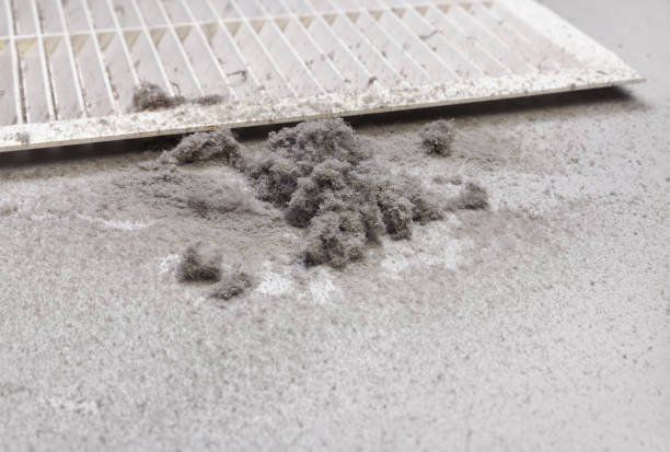 Best Dryer Vent Cleaning Services  in Hanover, PA